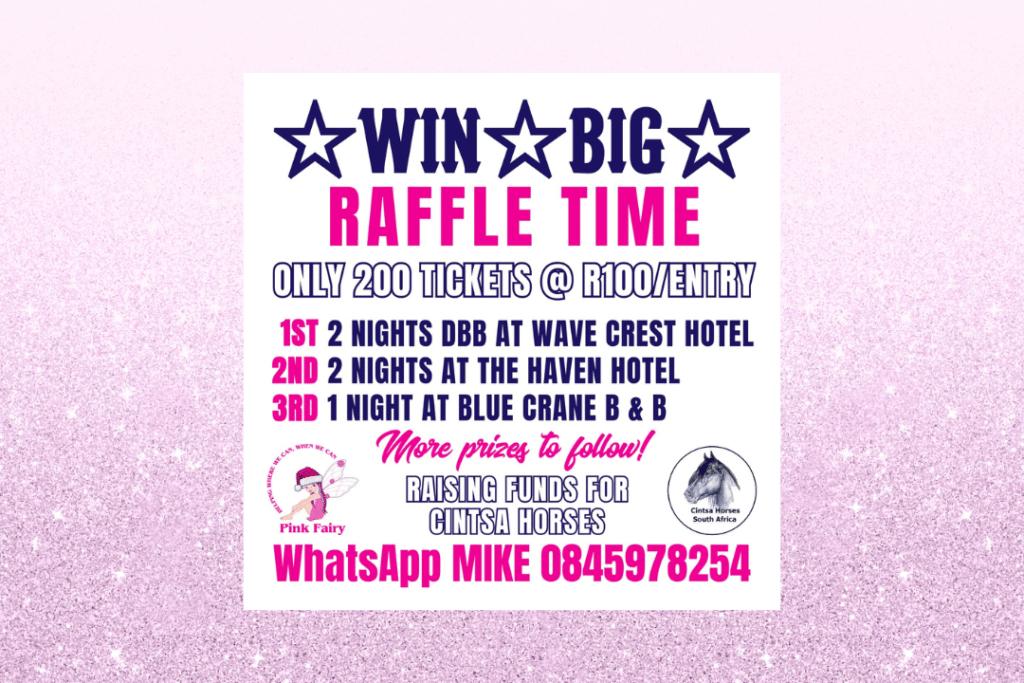 Raising Funds For Cinsta Horses Raffle